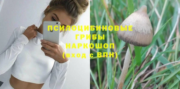 мдма Ладушкин