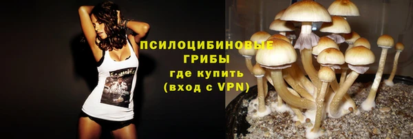 мдпв Лабытнанги