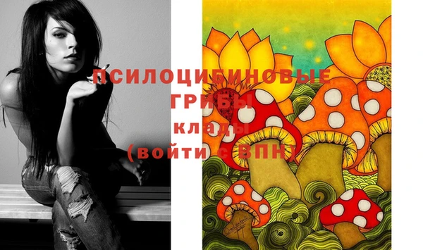 мдма Ладушкин