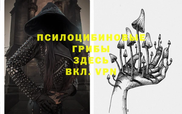 хмурый Кукмор