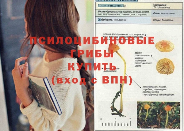 мдпв Лабытнанги